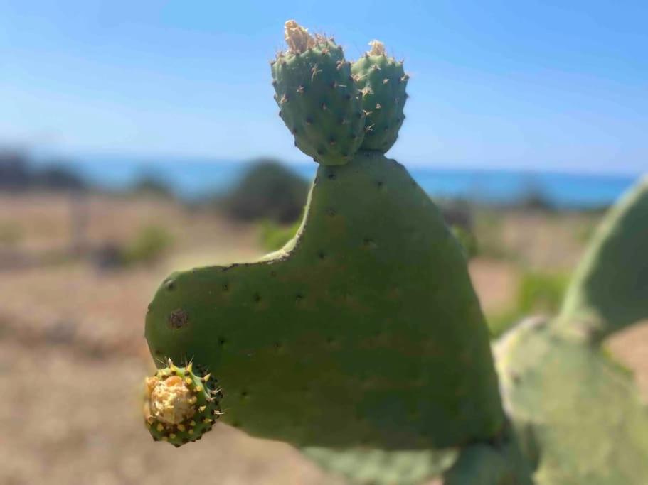 Ificumori, Campagna Ammare Villa Marina di Modica Bagian luar foto