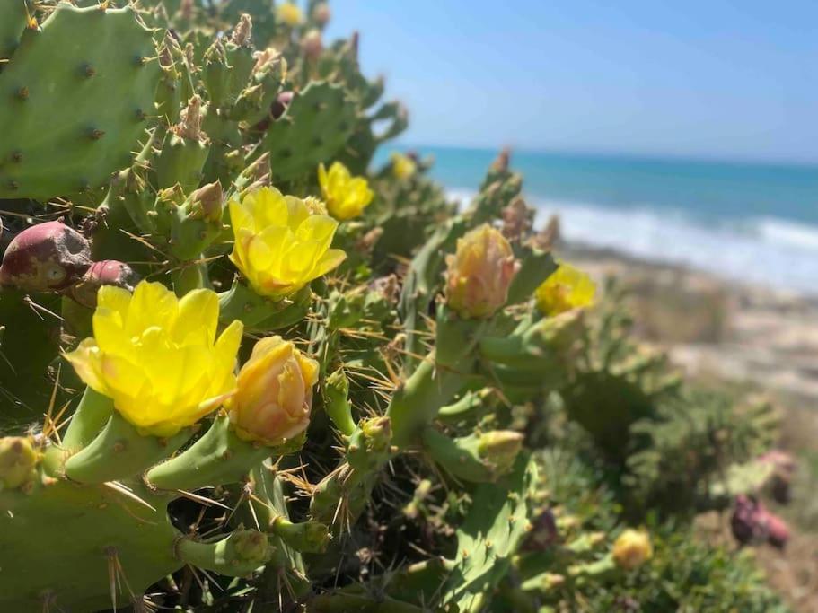 Ificumori, Campagna Ammare Villa Marina di Modica Bagian luar foto