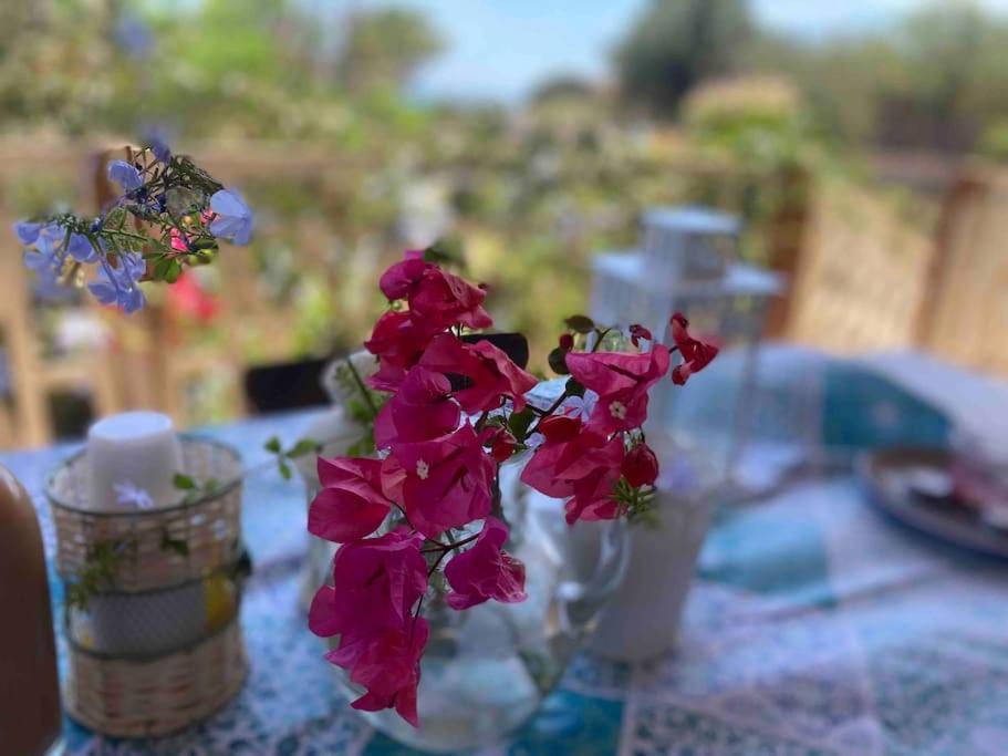 Ificumori, Campagna Ammare Villa Marina di Modica Bagian luar foto
