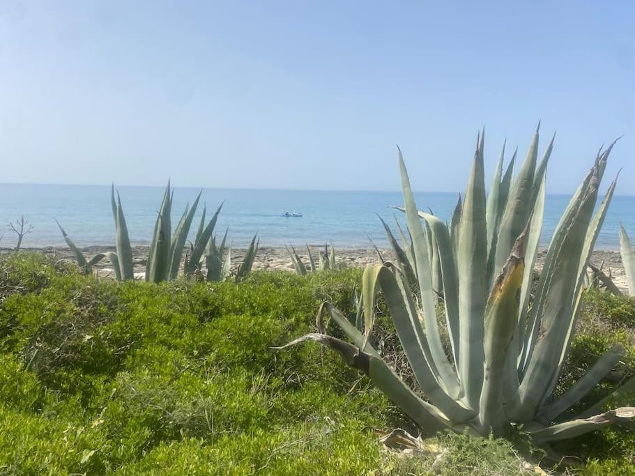 Ificumori, Campagna Ammare Villa Marina di Modica Bagian luar foto