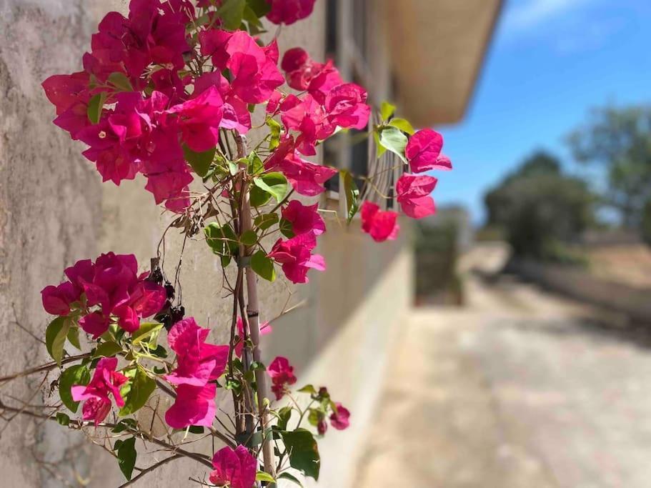 Ificumori, Campagna Ammare Villa Marina di Modica Bagian luar foto
