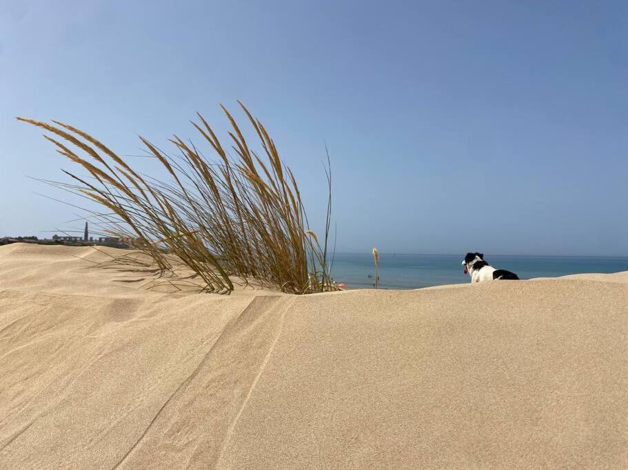 Ificumori, Campagna Ammare Villa Marina di Modica Bagian luar foto