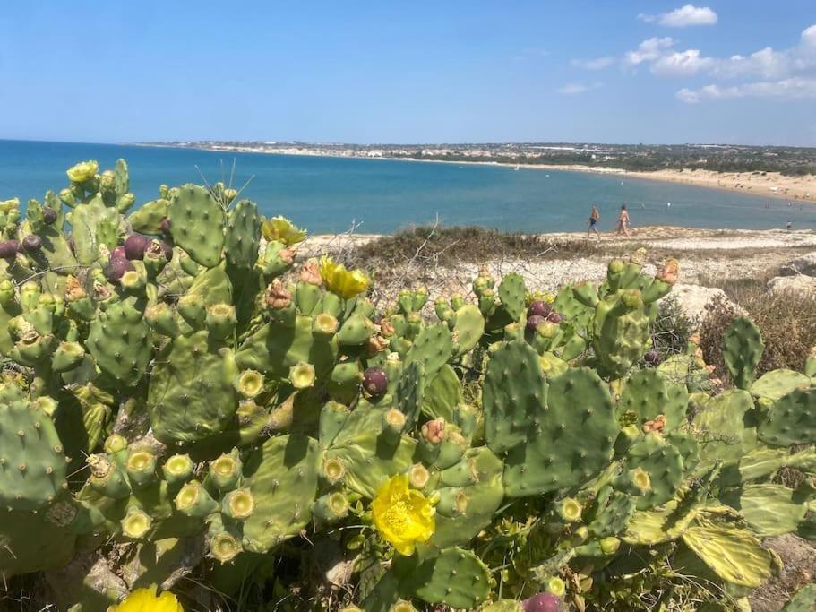 Ificumori, Campagna Ammare Villa Marina di Modica Bagian luar foto
