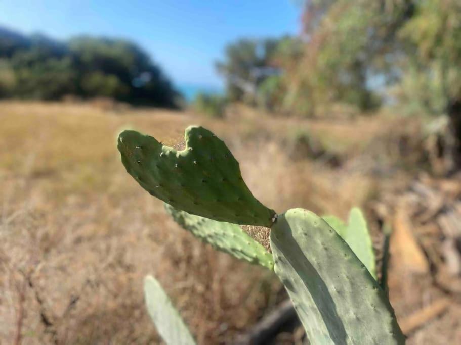 Ificumori, Campagna Ammare Villa Marina di Modica Bagian luar foto